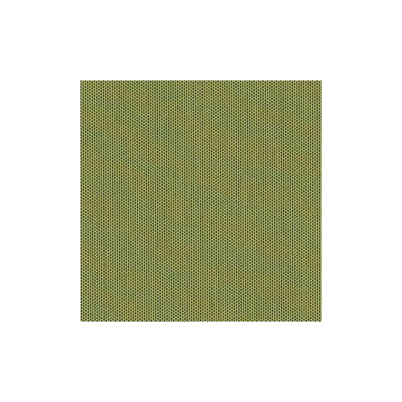 3970 Lichen