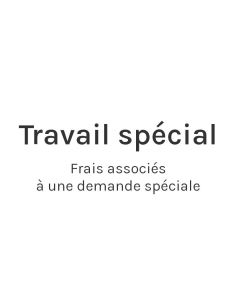 Travail spécial