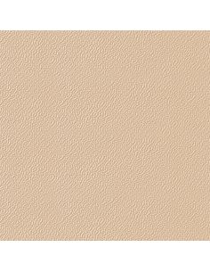 F4313-03244 White 2