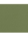 Olive 61
