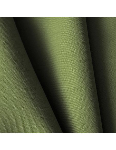 Olive 61