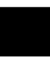 Noir 12