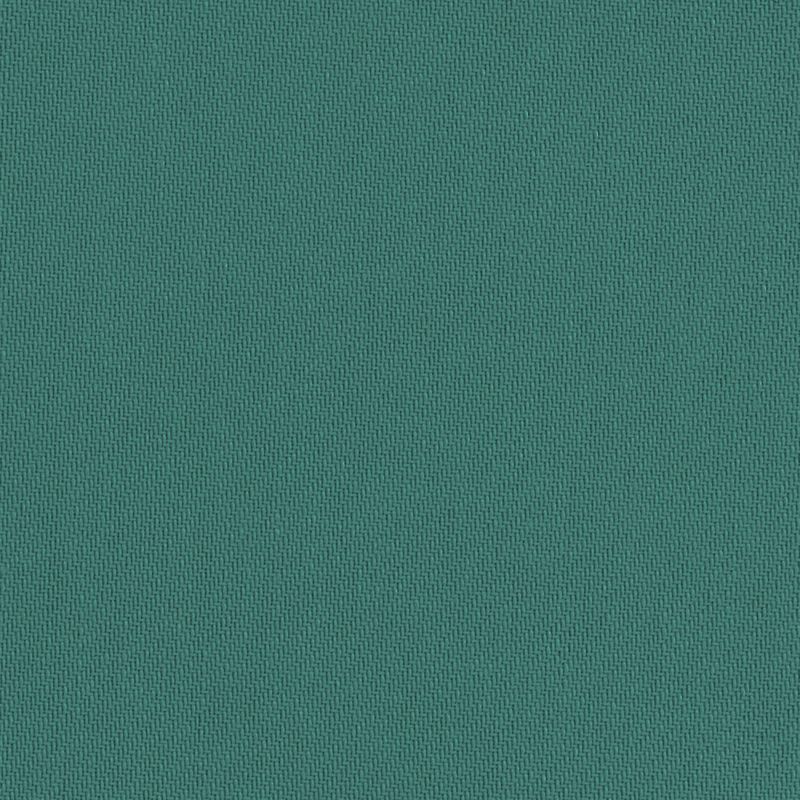 Eucalyptus 117