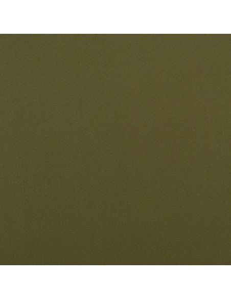 Olive 61