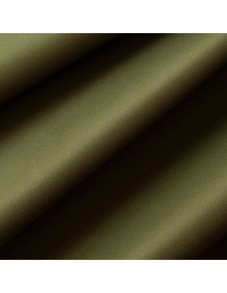 Olive 61