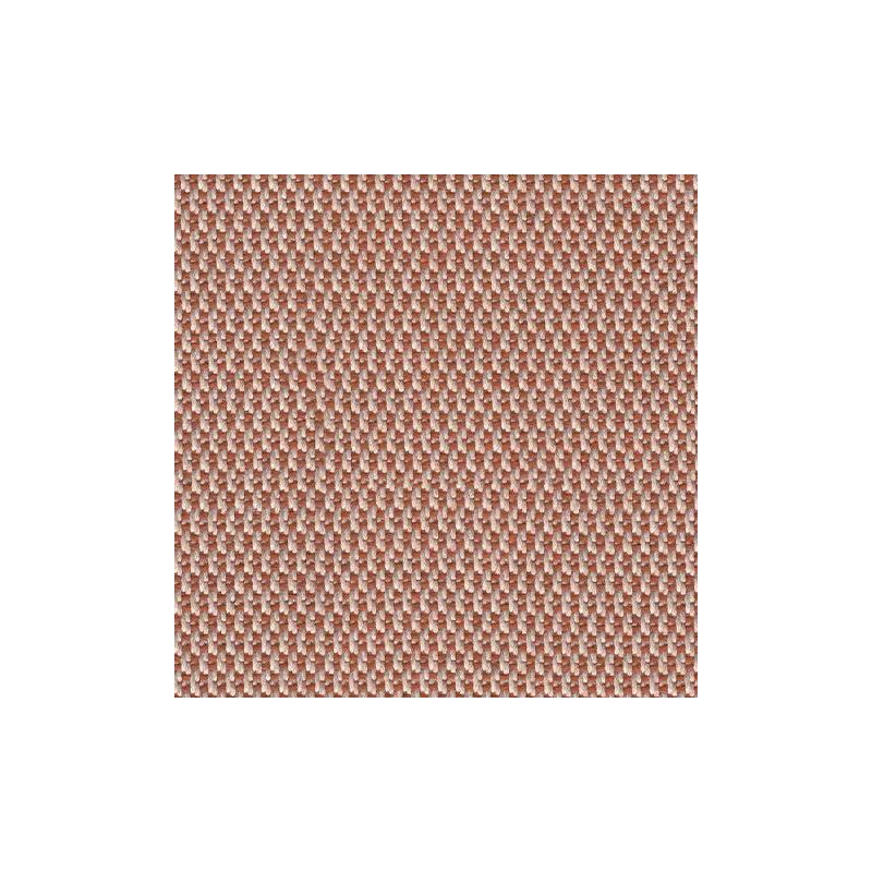 LOP-R081 Fawn