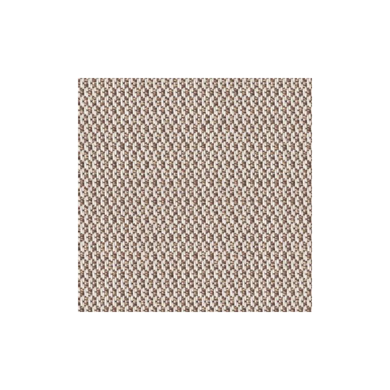 LOP-R086 Fossil