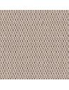 LOP-R086 Fossil