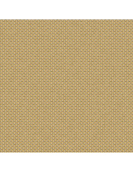 7300-50871 Gingembre