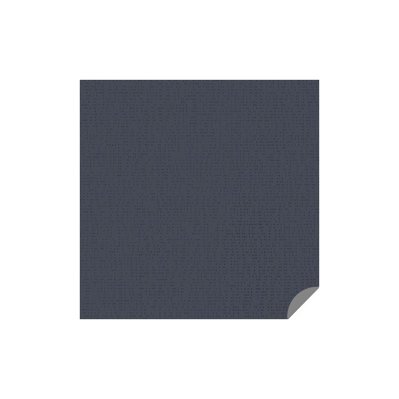 Toile protection solaire intérieure SOLTIS OPAQUE B99 B1 largeur 170 cm