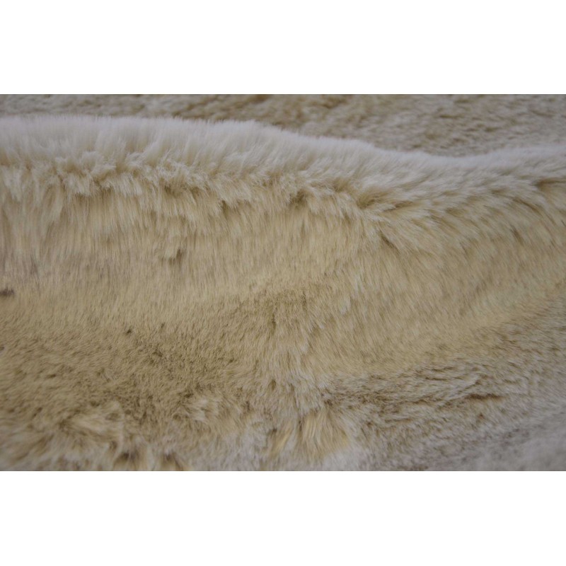 8006 Lion Blanc