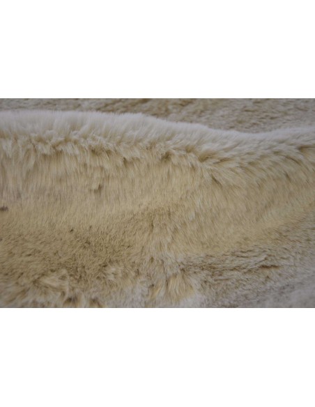 8006 Lion Blanc