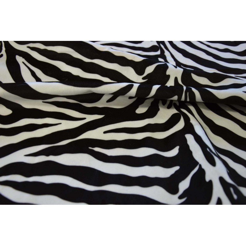 8008 Zebra