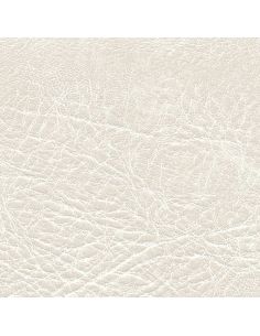 F6411180 Polar