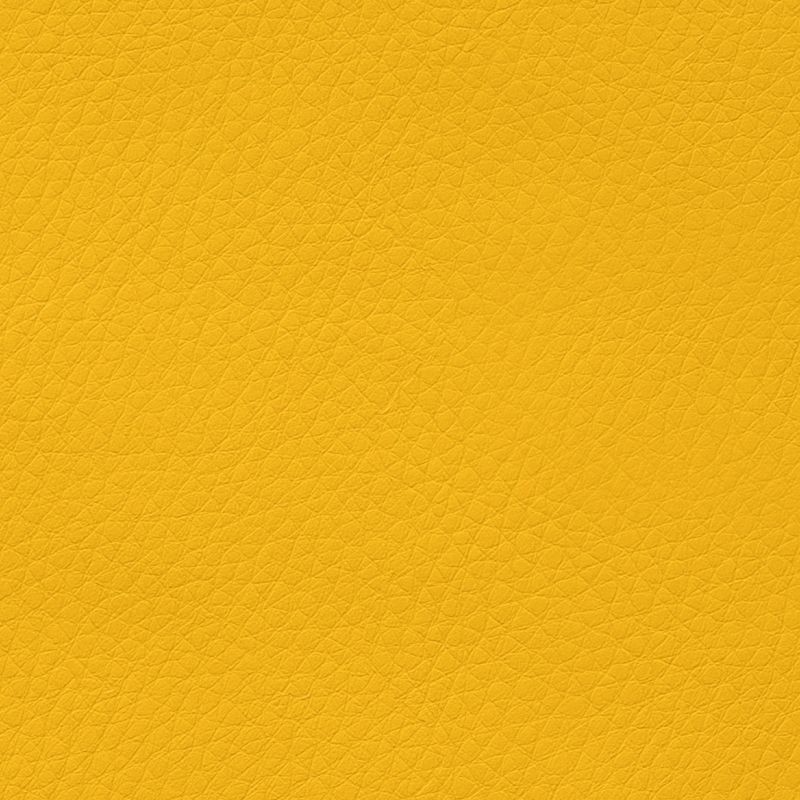DOL-6731 Mango