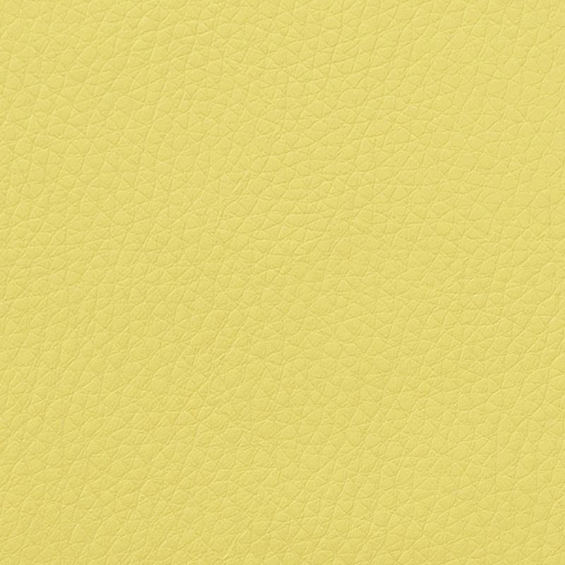 DOL-6733 Limelight