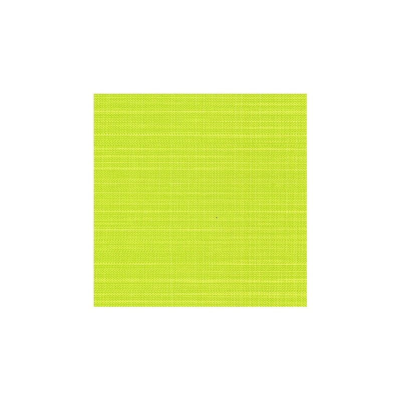 011 21 020 Kiwi