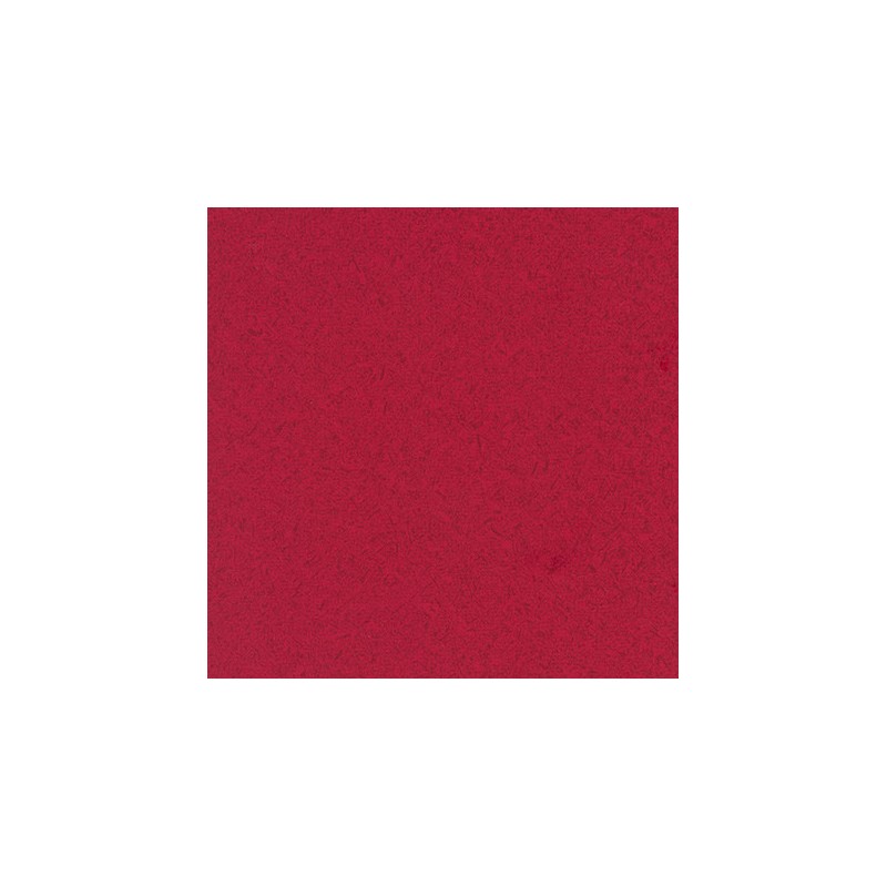 010 22 008 Fuchsia
