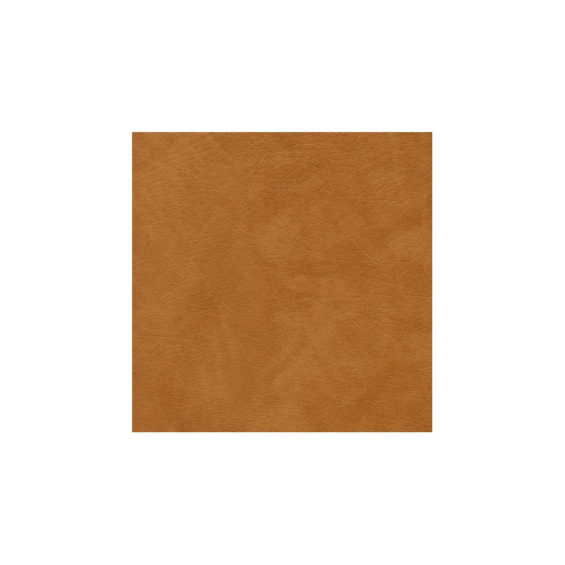 049 48 027 Sahara