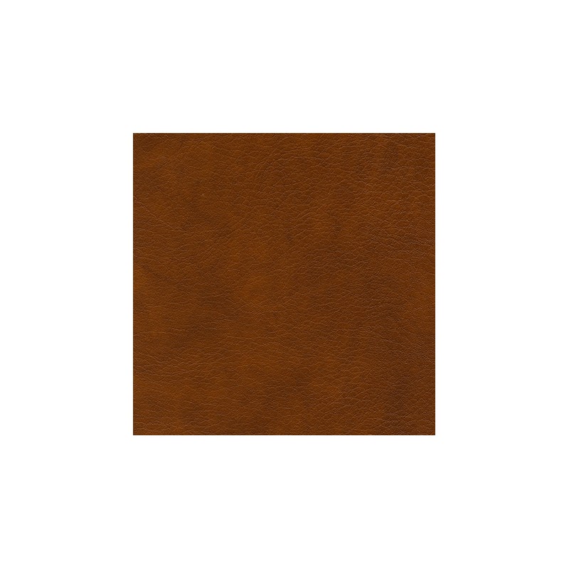 049 48 009 Cognac