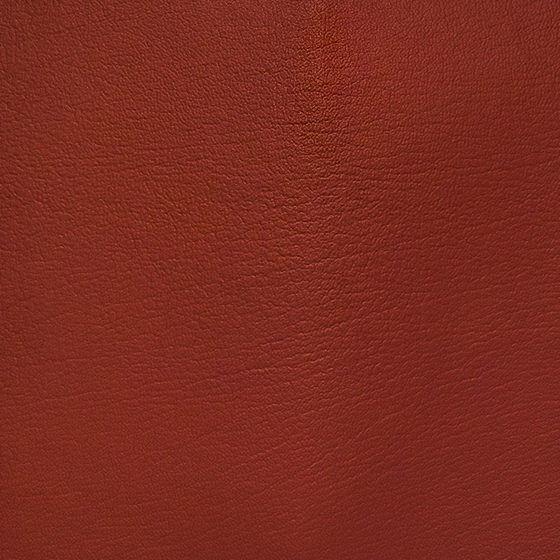 17502 Tomato