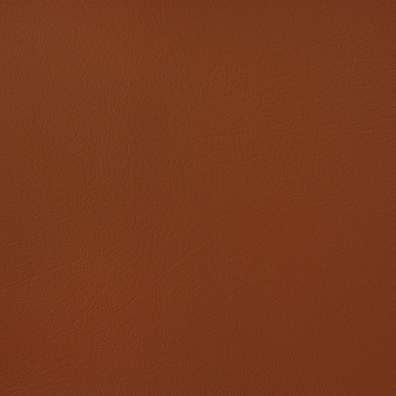 17905 Burnt Orange