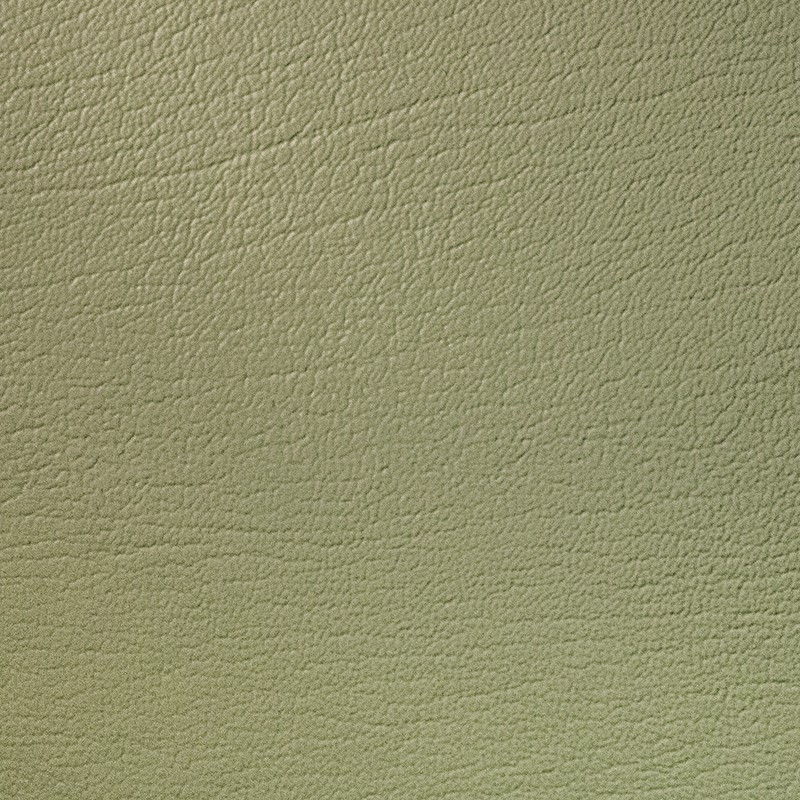 17605 Ocean Green