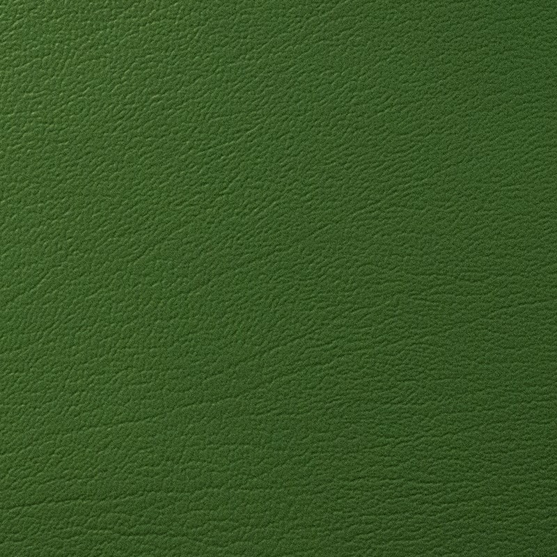 17602 Empire Green
