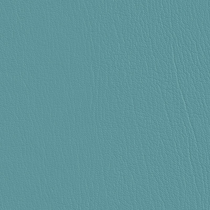 17305 Light Blue