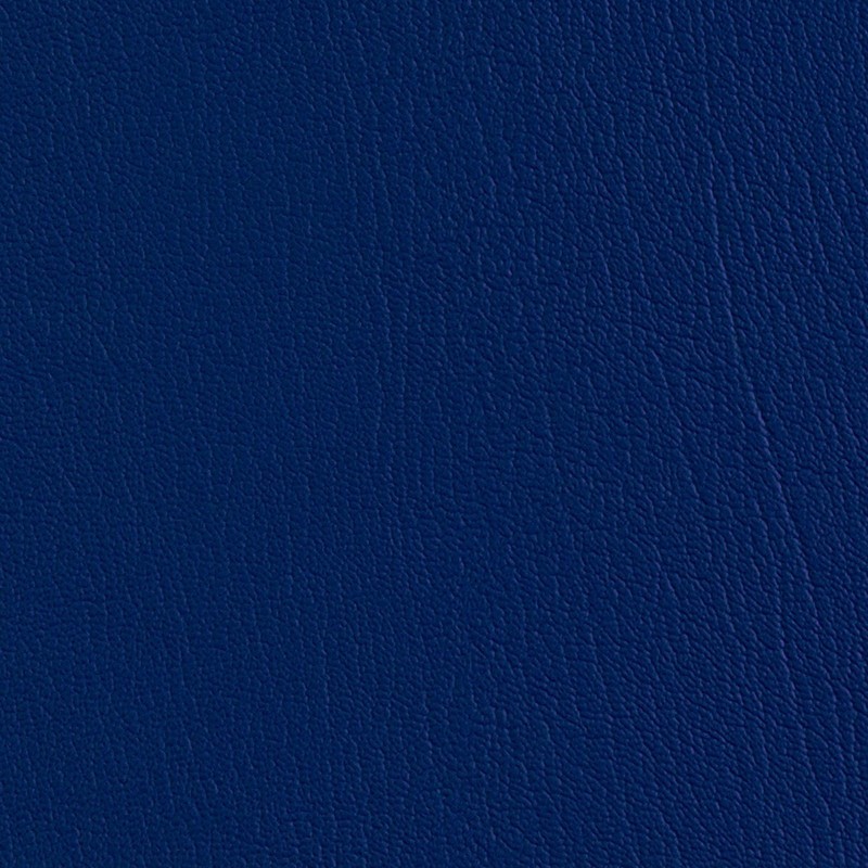 17302 Bright Blue